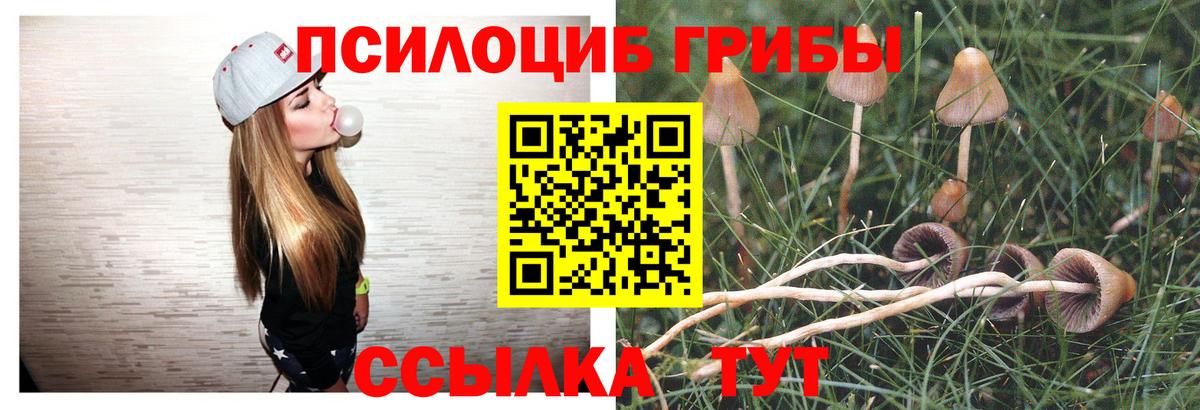 Псилоцибиновые грибы Cubensis  Галлюциногенные грибы мухоморы  Вход с VPN  дарнет шоп  Выкса 